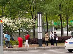 -大龙山(地铁站)