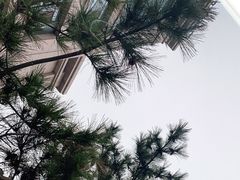 -澜小宴·胶东海鲜烟台味(时光塔店)