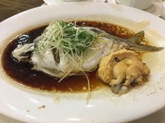 边鱼-顺悦酒家(嘉信城市广场店)