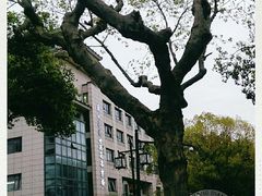 -苏州艺都古玩花鸟市场