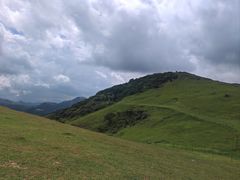-大姆山草场