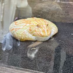 -Zoolung Zoolung动物主题公园(海信广场店)