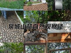 -佛慧山