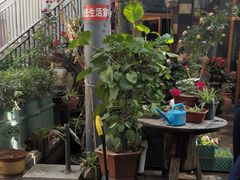 -泉乐坊步行街(烟酒特产平价超市店)