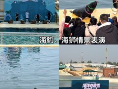 -秦皇岛乐岛海洋王国