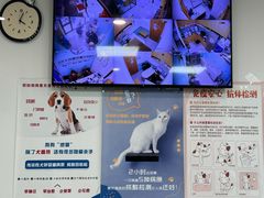 -中农大我爱我爱动物医院·核磁CT·猫病·24小时夜诊中心(石佛营店)