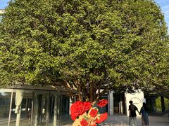 -昆山城市生态森林公园