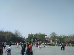 -西安青龙寺遗址景区