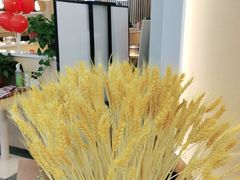 -杨翔豆皮涮牛肚(万和城店)