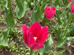 -长春公园(普阳街道)