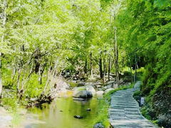 -玉渡山自然风景区