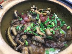 -红星光发煲仔饭(大石街店)