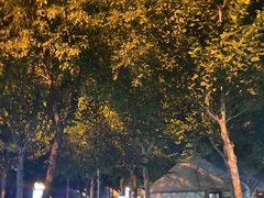 -九十九顶毡房(阜石路店)