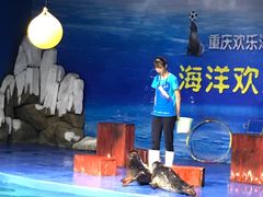 -重庆欢乐海底世界