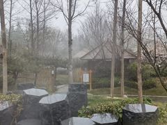 -思念果岭悦温泉