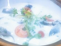 -全乐鱼馆·淳牌有机鱼直营店