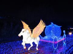 -飞凤山奥体公园