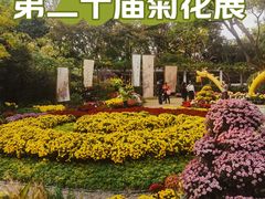 -汇龙潭