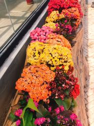 -萌宠亲子动物乐园(槐房万达店)