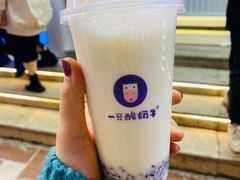 原味酸奶紫米露-一只酸奶牛(八一路店)