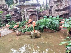 -长鹿旅游休博园