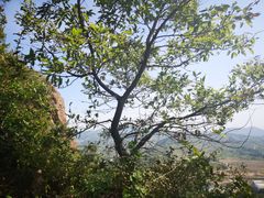 -龙门崮风景区
