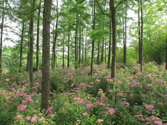IMG_8390-新江湾城公园