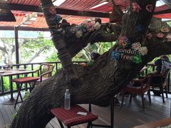 -卷心菜和避孕套餐厅(Pattaya)