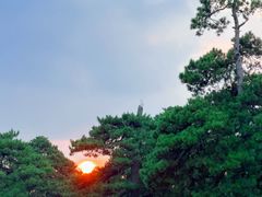 -清西陵