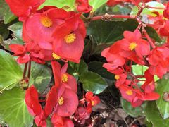 -徐家汇源景区-衡山公园