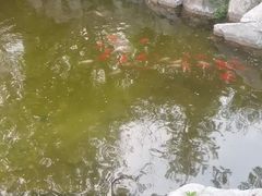 -君庭中餐厅(友谊宾馆店)