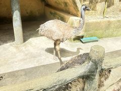 -海南槟榔谷黎苗文化旅游区