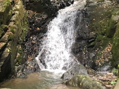 -藏龙百瀑风景区