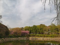 -蠡湖大桥公园