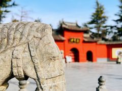 -洛阳白马寺