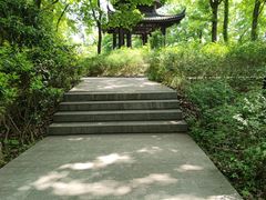 -镇南锅盖面馆(解放路店)