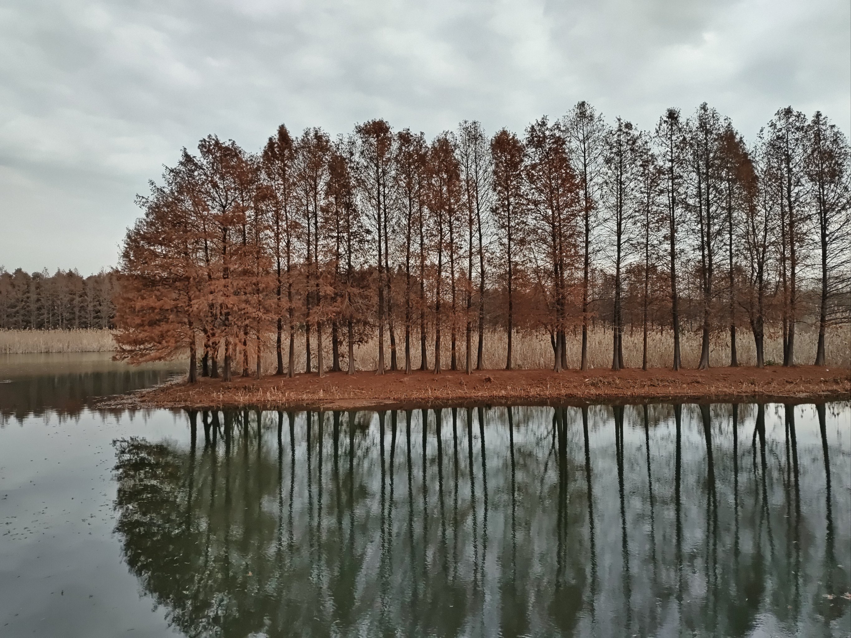 苏州虎丘湿地公园图片