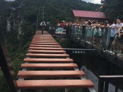 -梦幻奥陶纪景区