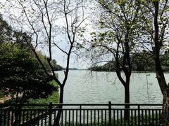 -南国桃园旅游度假区