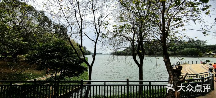 南国桃园旅游度假区图片