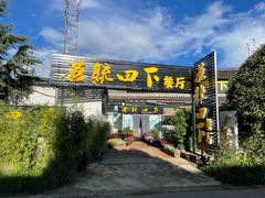 -蘑统田下·野生菌火锅