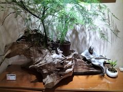 -福慧慈缘素食餐厅(王府井店)