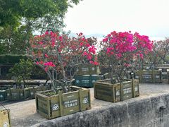 -胡里山炮台