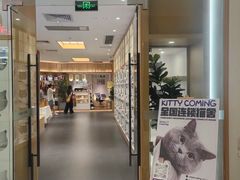 -小猫来了·猫舍(红山六九七九店)