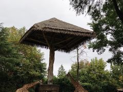 -上海野生动物园