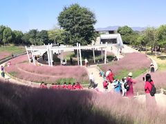 -牛岗山公园