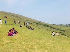 -大姆山草场