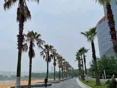 -金沙湖公园