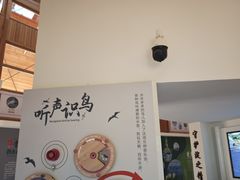 -白洋淀景区