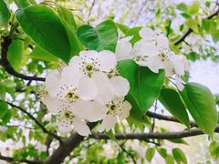 -廊坊市自然公园